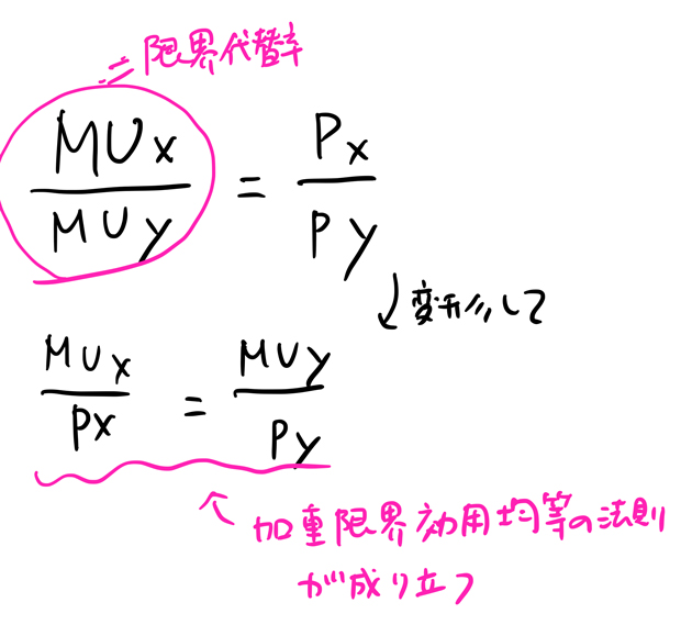 加重限界効用均等の法則