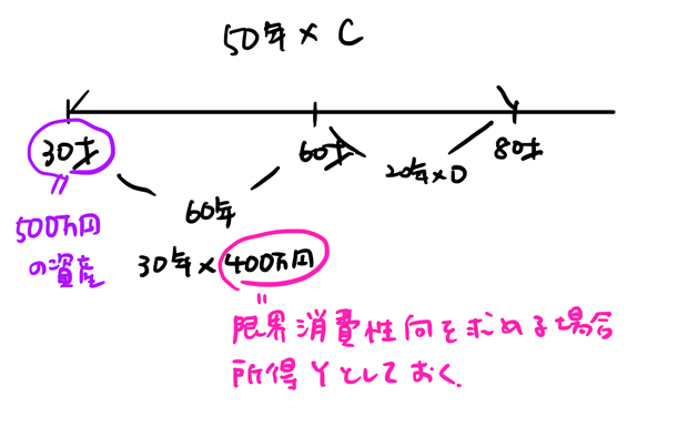 ライフサイクル仮説の計算問題