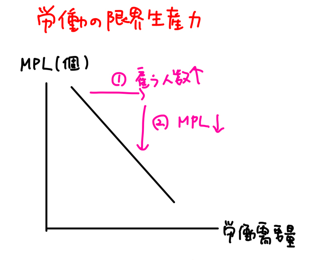 労働の限界生産力曲線