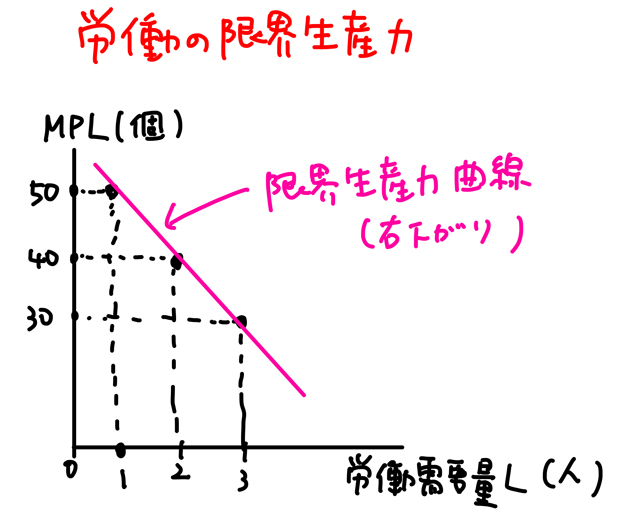 労働の限界生産力曲線