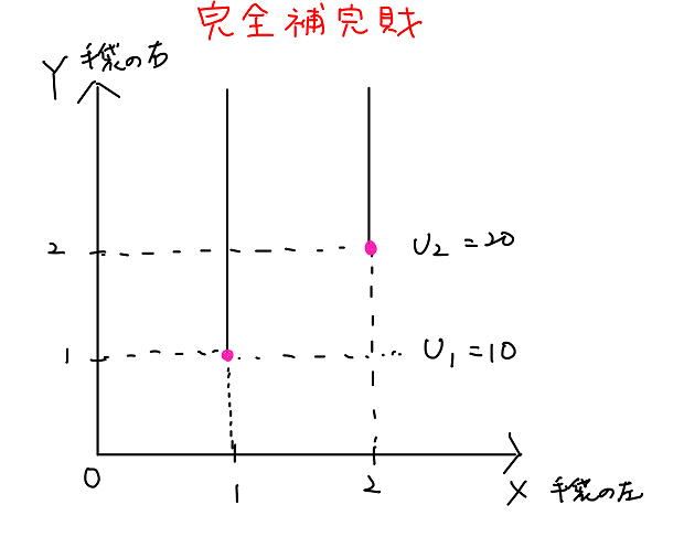 完全補完財とは