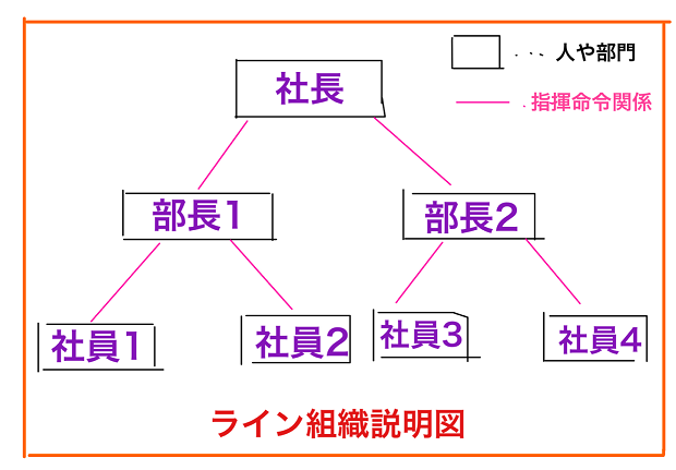 ライン組織