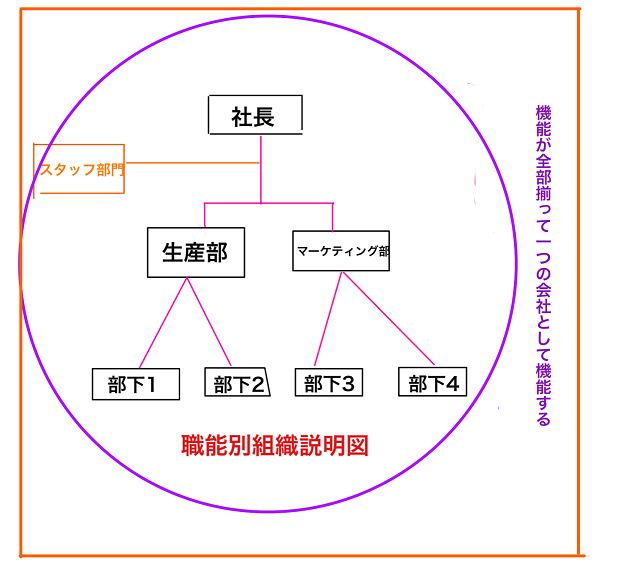 職能別組織の特徴