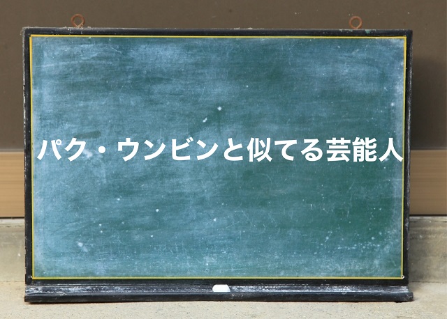 パク・ウンビン 似てる