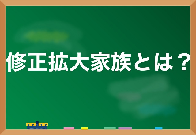 修正拡大家族とは