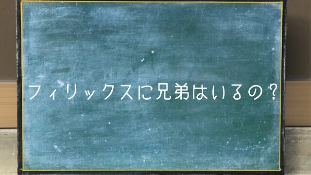 フィリックス スキズ 兄弟