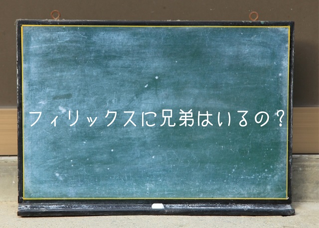 フィリックス スキズ 兄弟