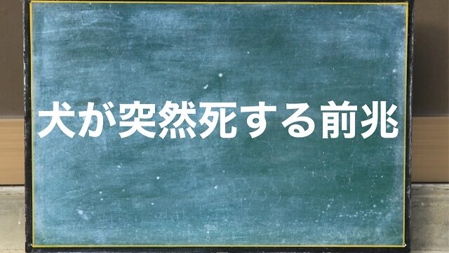 犬 突然死 前兆