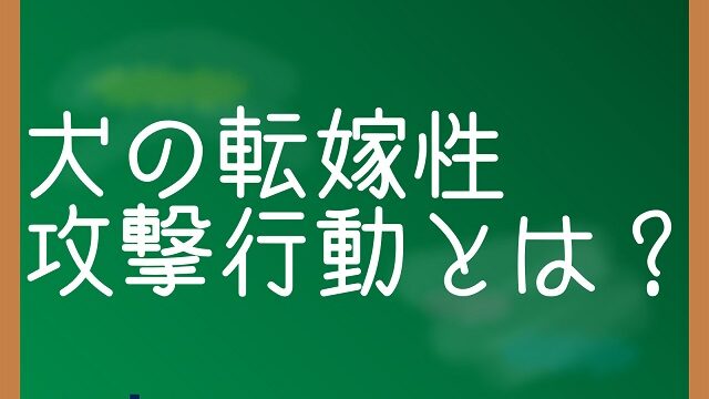 転嫁性攻撃行動 犬